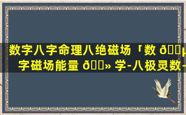 数字八字命理八绝磁场「数 🐵 字磁场能量 🌻 学-八极灵数-数字本源-数字传说」
